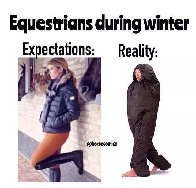 Equestrian During Winter